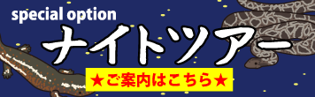 準備中バナー